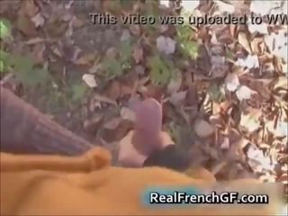 Frenchgfs in forest